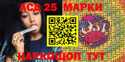дмт Кимры