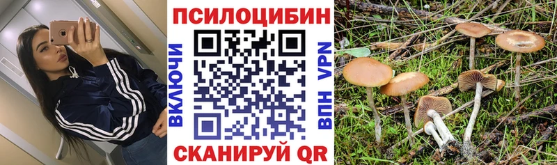 дарнет шоп Можга гидра зеркало Галлюциногенные грибы мухоморы