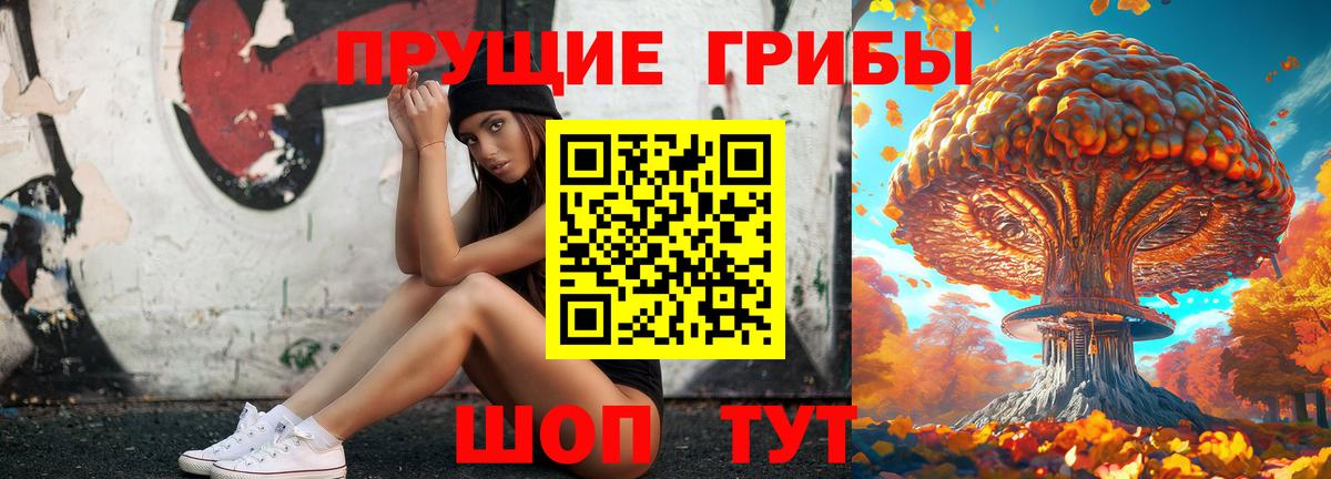 Галлюциногенные грибы Psilocybe Можга