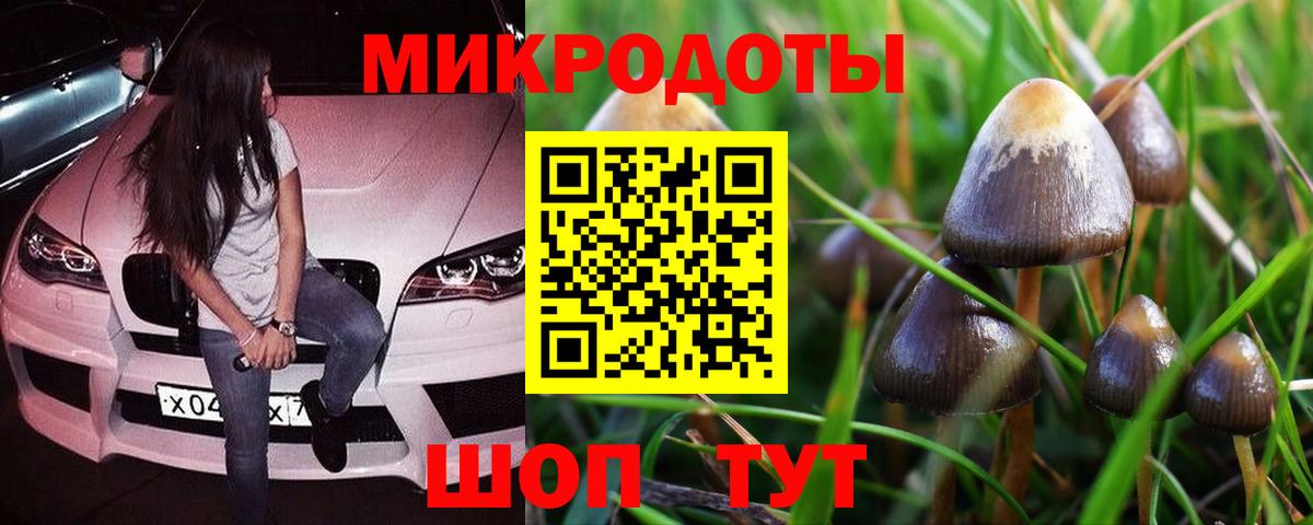 Можга  сколько стоит  Вход с VPN  Галлюциногенные грибы Psilocybine cubensis 